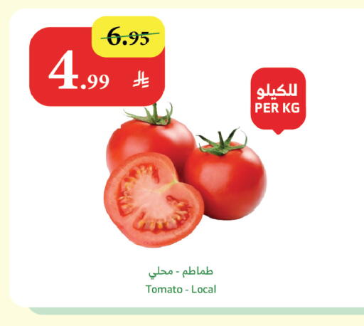 Tomato available at الراية in مملكة العربية السعودية, السعودية, سعودية - أبها