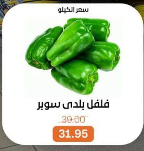 available at بيت الجملة in Egypt - القاهرة