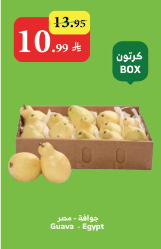 Guava from Egypt available at Al Raya in KSA, Saudi Arabia, Saudi - Bishah