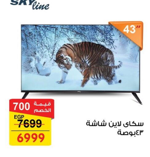 available at فتح الله in Egypt - القاهرة