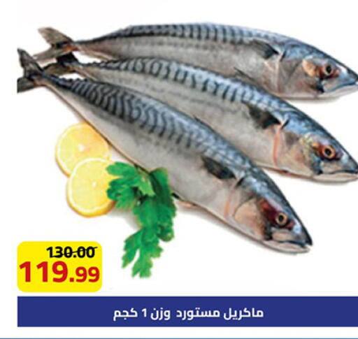 available at جراندي هايبر ماركت in Egypt - القاهرة