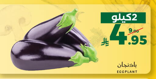 Eggplant available at ميرا مارت مول in مملكة العربية السعودية, السعودية, سعودية - جدة