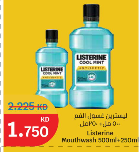 Mint available at سيتي هايبرماركت in الكويت - محافظة الجهراء