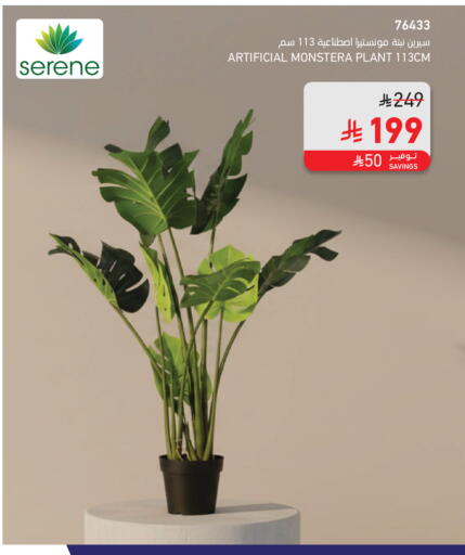 available at SACO in KSA, Saudi Arabia, Saudi - Riyadh