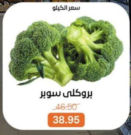 available at بيت الجملة in Egypt - القاهرة