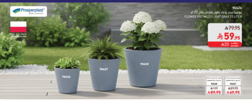 available at SACO in KSA, Saudi Arabia, Saudi - Riyadh