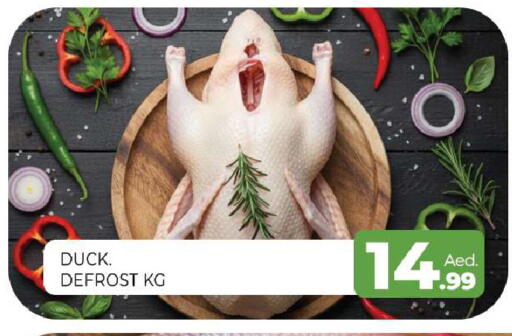 available at المدينة in الإمارات العربية المتحدة , الامارات - الشارقة / عجمان