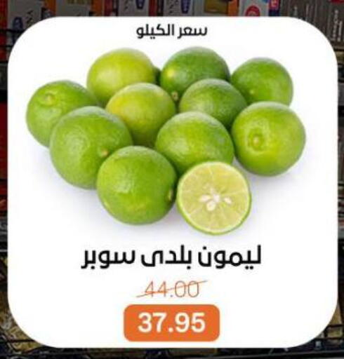 available at بيت الجملة in Egypt - القاهرة