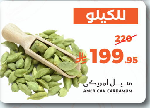 Cardamom available at ميرا مارت مول in مملكة العربية السعودية, السعودية, سعودية - جدة