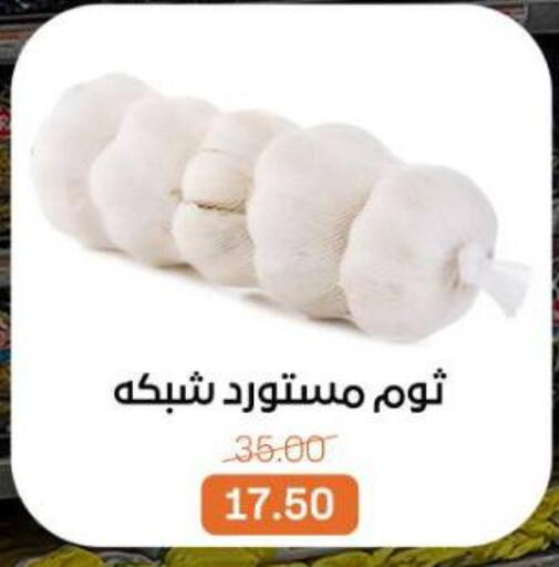 available at Beit El Gomla in Egypt - Cairo