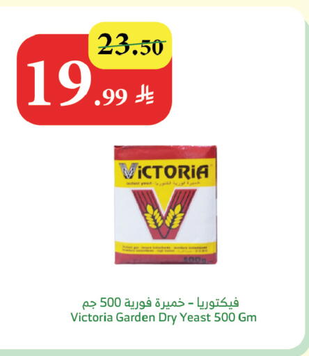 available at الراية in مملكة العربية السعودية, السعودية, سعودية - جازان