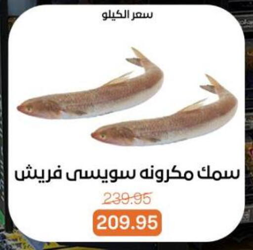 available at بيت الجملة in Egypt - القاهرة