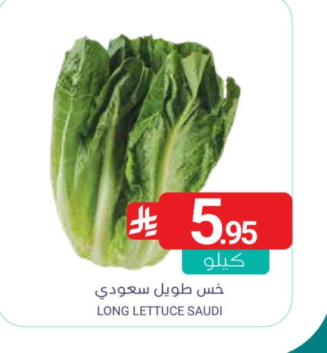 Lettuce from Saudi Arabia available at اسواق المنتزه in مملكة العربية السعودية, السعودية, سعودية - القطيف‎