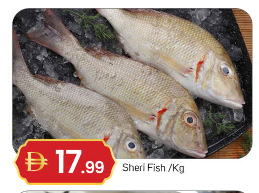 available at سوق طلال in الإمارات العربية المتحدة , الامارات - دبي