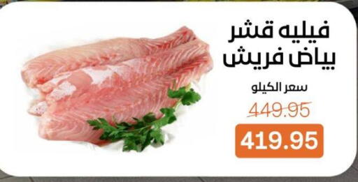 available at بيت الجملة in Egypt - القاهرة