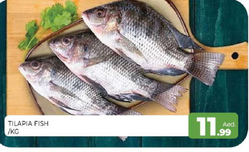 available at المدينة in الإمارات العربية المتحدة , الامارات - الشارقة / عجمان