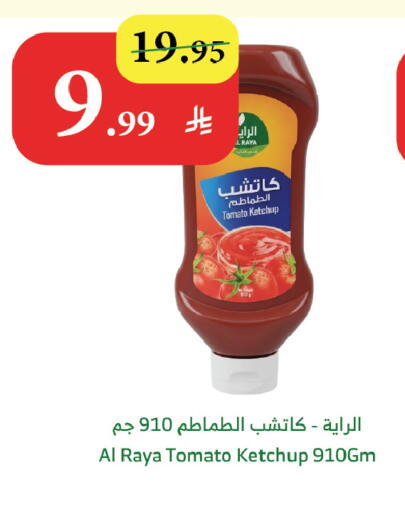 Tomato available at Al Raya in KSA, Saudi Arabia, Saudi - Mecca