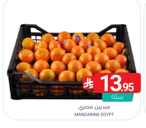 from Egypt available at Muntazah Markets in KSA, Saudi Arabia, Saudi - Qatif