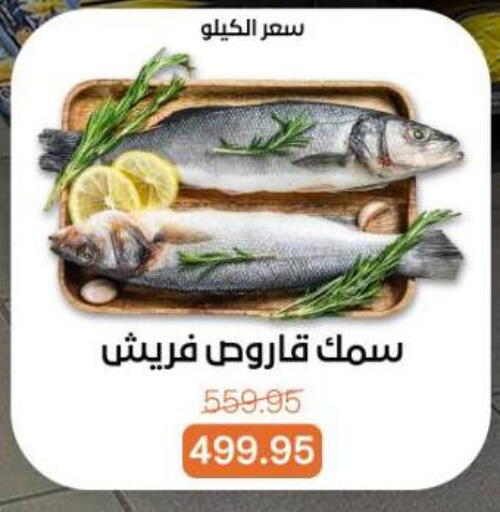 available at بيت الجملة in Egypt - القاهرة
