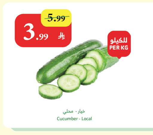 Cucumber available at Al Raya in KSA, Saudi Arabia, Saudi - Jazan