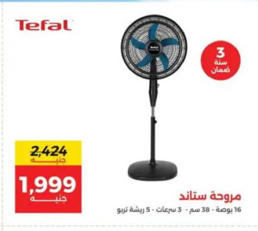 available at رنين in Egypt - القاهرة