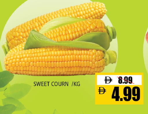 available at ليبتس هايبرماركت in الإمارات العربية المتحدة , الامارات - ٱلْعَيْن‎