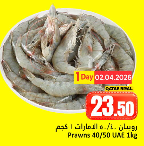 available at دانة هايبرماركت in قطر - الريان