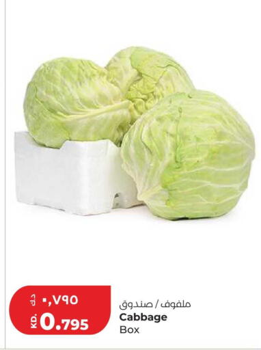 Cabbage available at Lulu Hypermarket  in Kuwait - Kuwait City