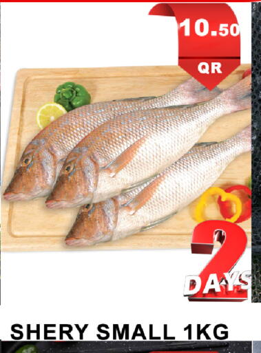 available at باشن هايبر ماركت in قطر - الشحانية