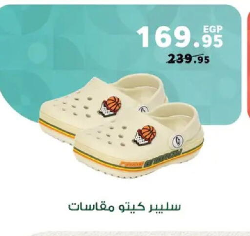 available at Panda  in Egypt - Cairo