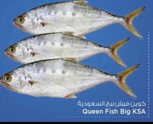 available at Mark & Save  in Qatar - Umm Salal