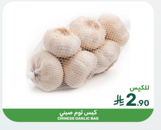 Garlic from China available at  مـزايــا in مملكة العربية السعودية, السعودية, سعودية - القطيف‎