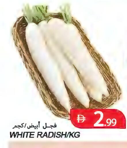 Radish available at  روابي ماركت عجمان in الإمارات العربية المتحدة , الامارات - الشارقة / عجمان