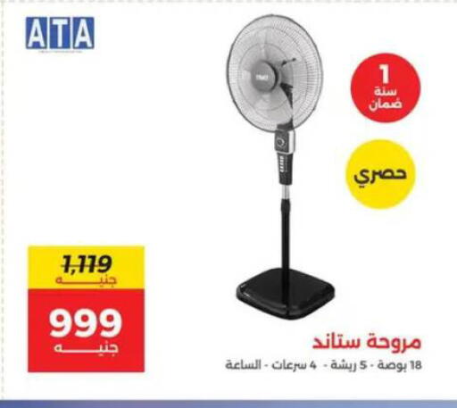available at رنين in Egypt - القاهرة