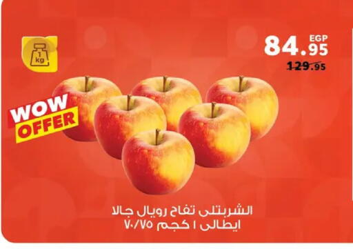 available at بنده in Egypt - القاهرة