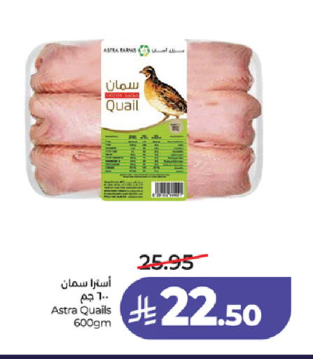 available at لولو هايبرماركت in مملكة العربية السعودية, السعودية, سعودية - مكة المكرمة