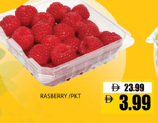 available at ليبتس هايبرماركت in الإمارات العربية المتحدة , الامارات - ٱلْعَيْن‎