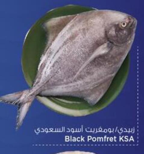 available at مارك & سيف in قطر - الدوحة