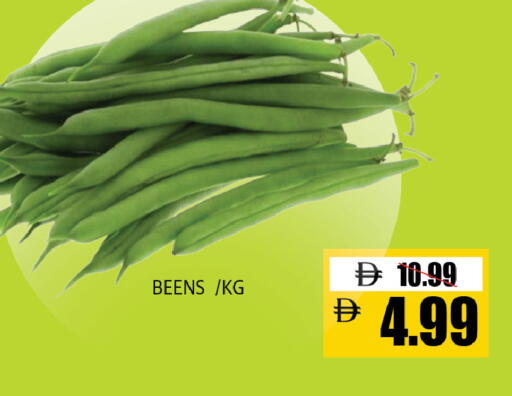 available at ليبتس هايبرماركت in الإمارات العربية المتحدة , الامارات - ٱلْعَيْن‎