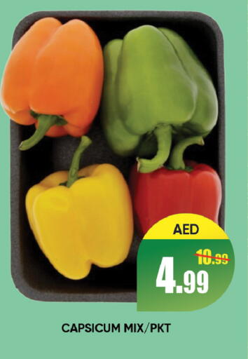 Capsicum available at ليبتس هايبرماركت in الإمارات العربية المتحدة , الامارات - رَأْس ٱلْخَيْمَة