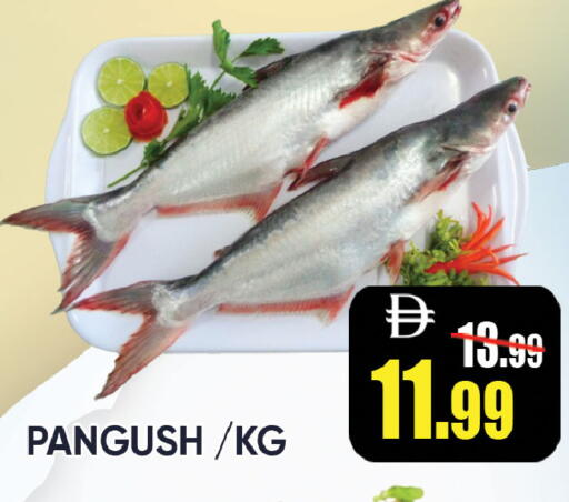 available at ليبتس هايبرماركت in الإمارات العربية المتحدة , الامارات - ٱلْعَيْن‎