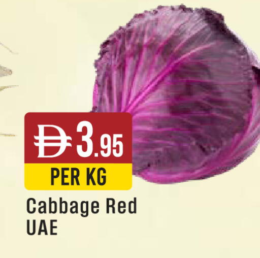 Cabbage available at ويست زون سوبرماركت in الإمارات العربية المتحدة , الامارات - دبي