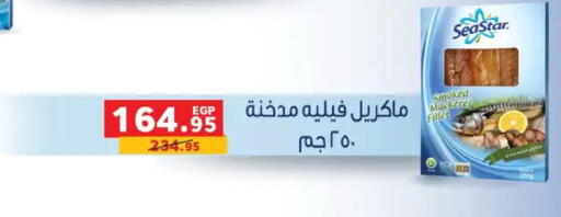 available at بنده in Egypt - القاهرة