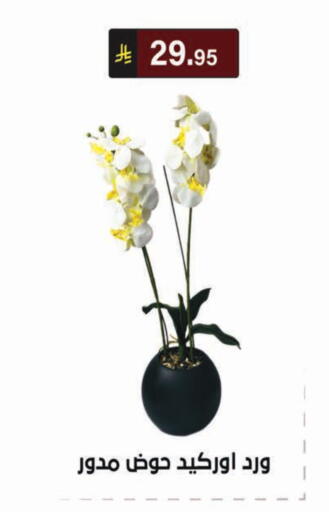 available at Al Hussain Top Up in KSA, Saudi Arabia, Saudi - Riyadh