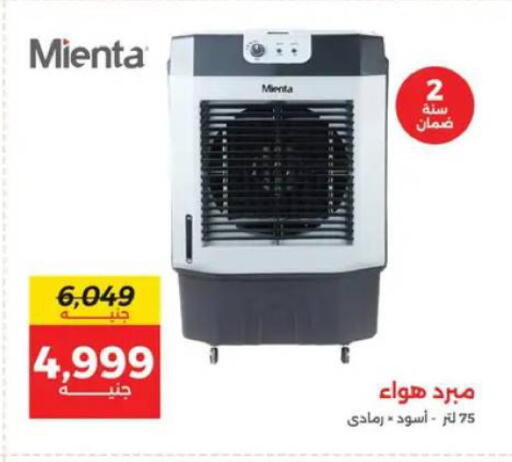 available at رنين in Egypt - القاهرة