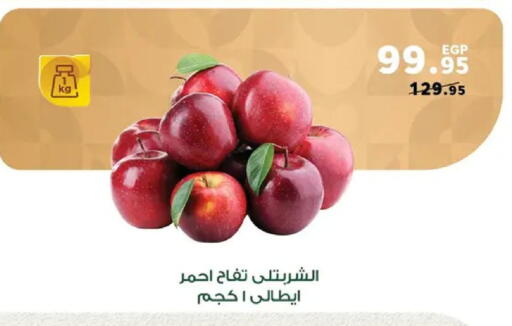 available at بنده in Egypt - القاهرة