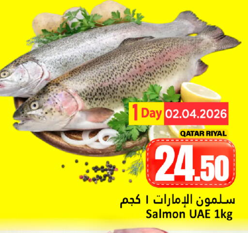 available at دانة هايبرماركت in قطر - الريان