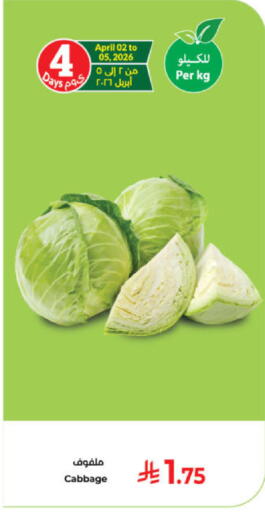 Cabbage available at Kabayan Hypermarket in KSA, Saudi Arabia, Saudi - Yanbu