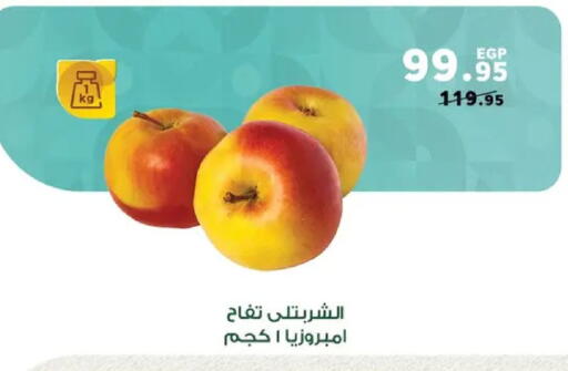 available at بنده in Egypt - القاهرة