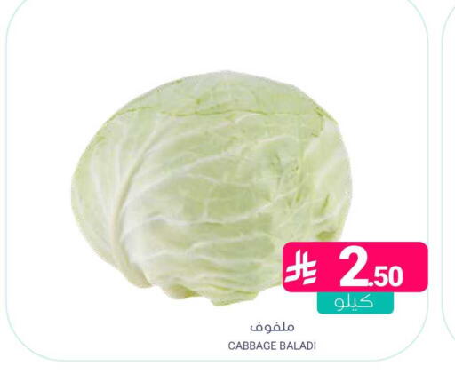 Cabbage available at اسواق المنتزه in مملكة العربية السعودية, السعودية, سعودية - المنطقة الشرقية
